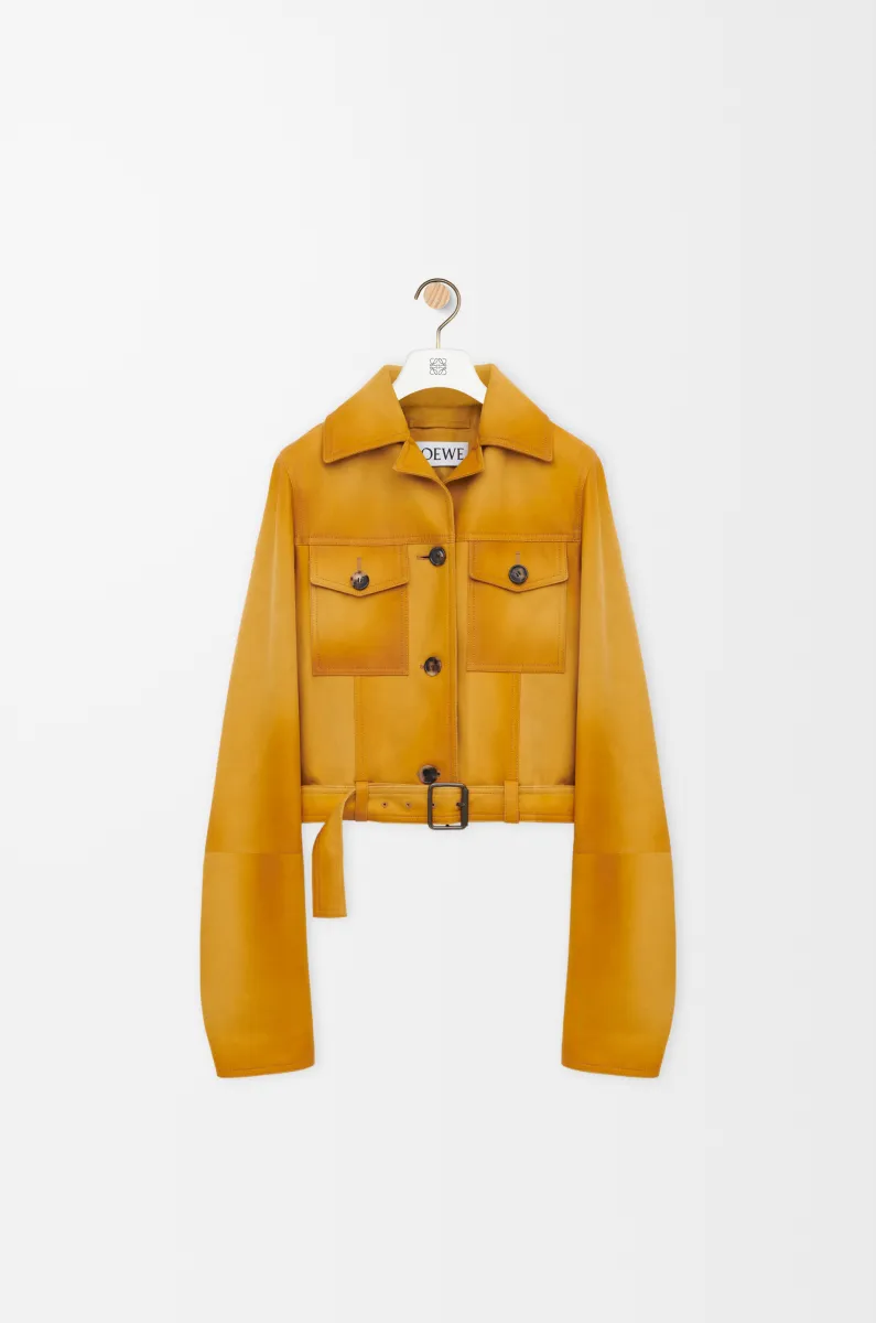 Short Suede Lambskin Jacket reference view 1